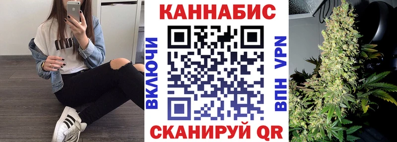 как найти   Оленегорск  shop наркотические препараты  Бошки Шишки семена 